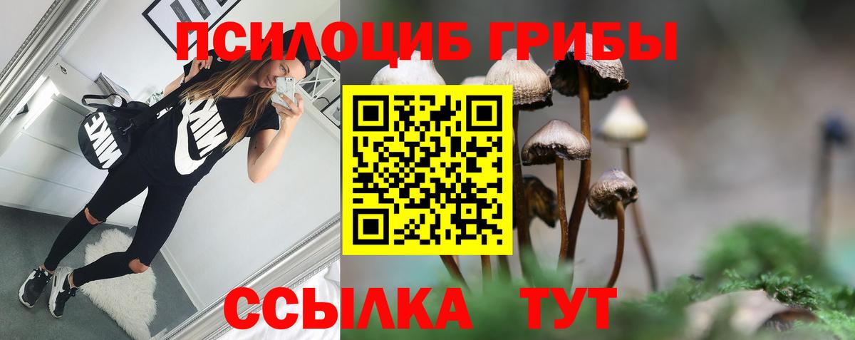Псилоцибиновые грибы MAGIC MUSHROOMS  Вход с VPN  Галлюциногенные грибы MAGIC MUSHROOMS  Туймазы 
